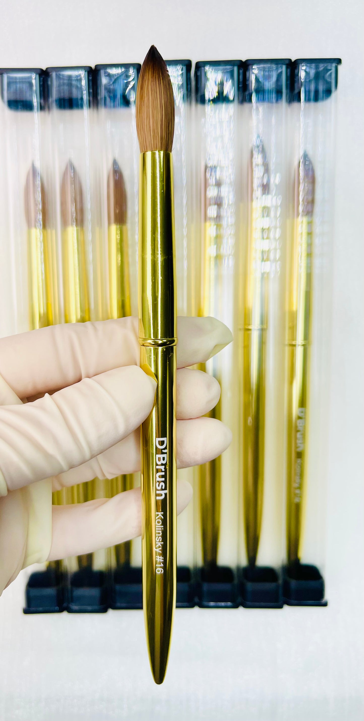 D’Brush Gold – 100% Kolinsky Acrylic Brush #16
