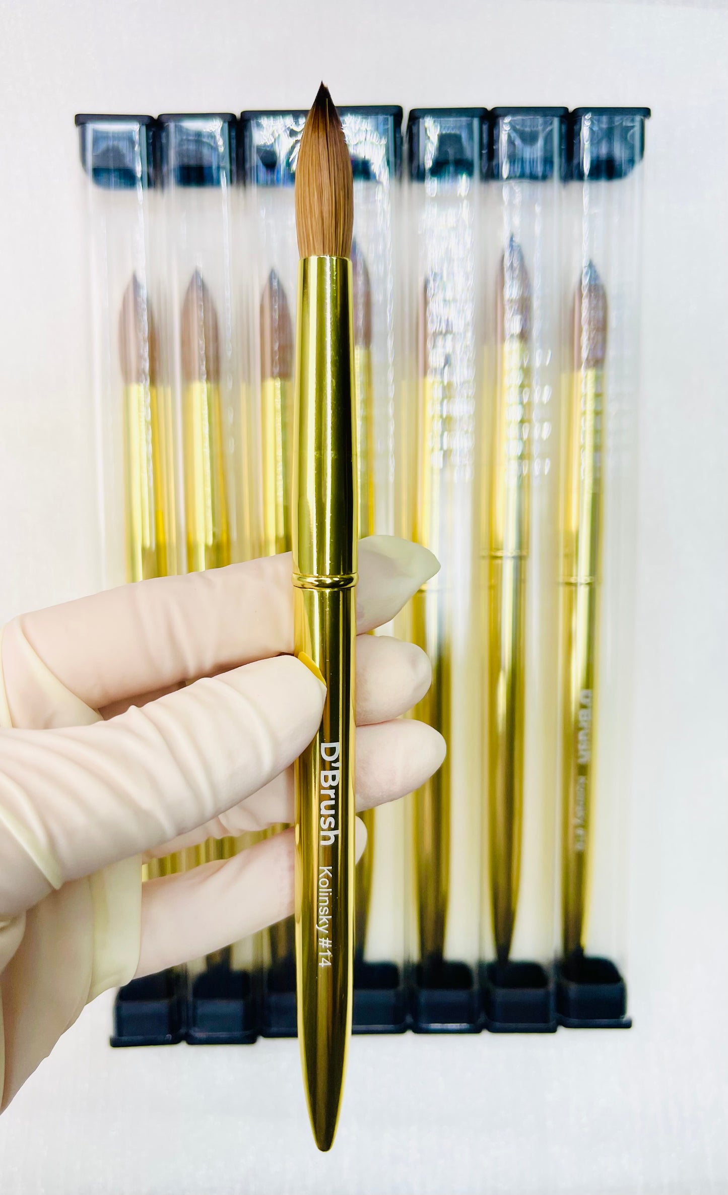 D’Brush Gold – 100% Kolinsky Acrylic Brush #14