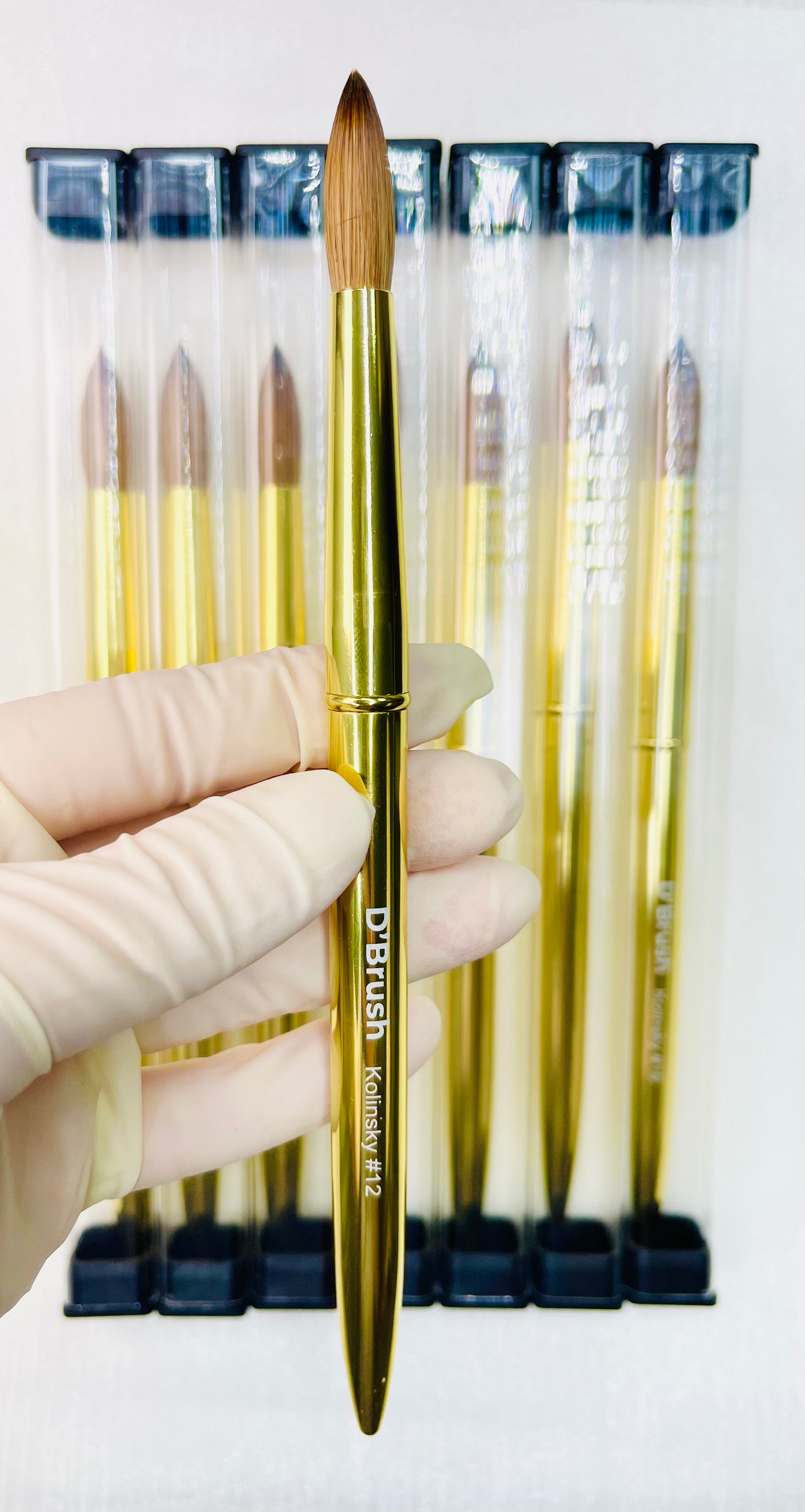 D’Brush Gold – 100% Kolinsky Acrylic Brush #12